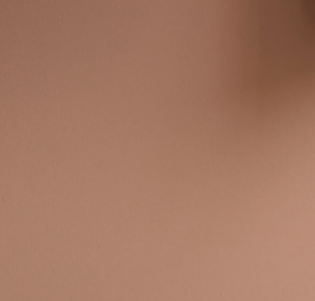 Roben's Honour (344) paint