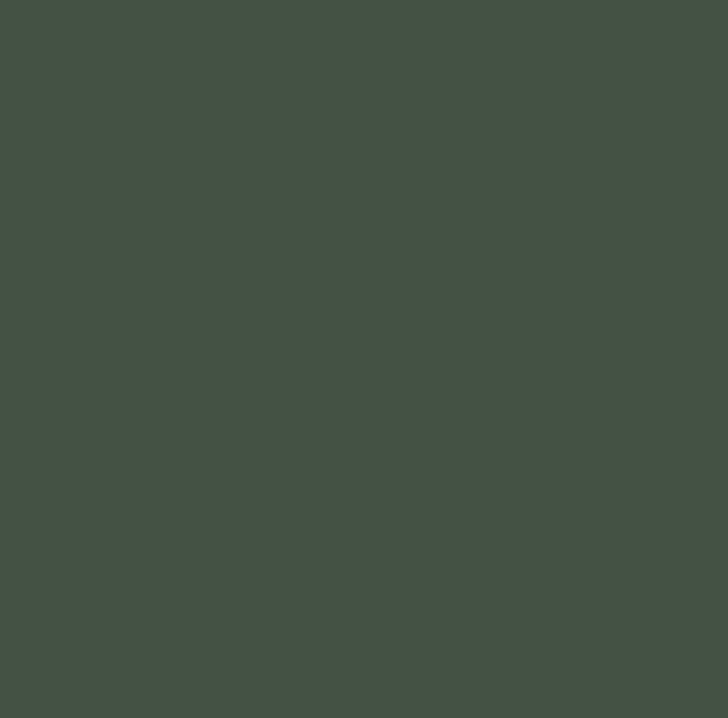 Duck Green No.W55 paint