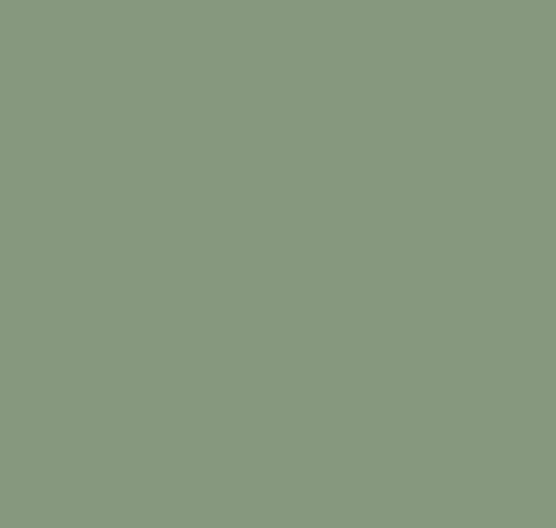 Pea Green No.33