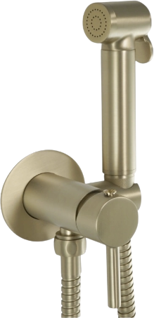 JTP Vos Brushed Brass Single Lever Douche Set