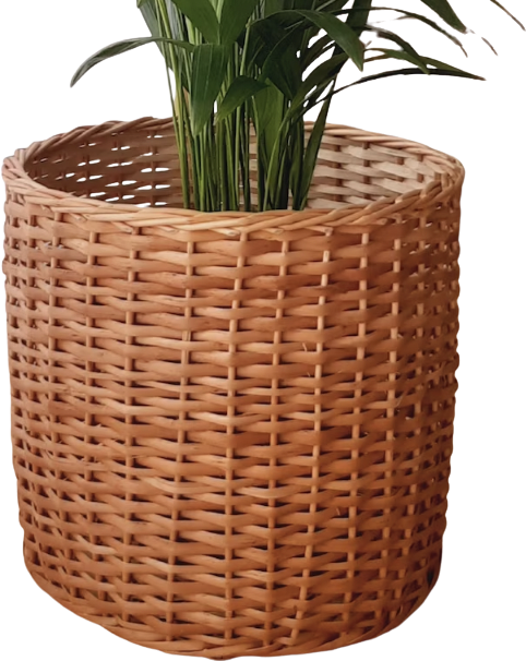 Wicker Plant Basket