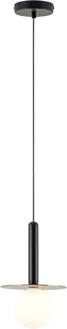 Plate Pendant Ceiling Light