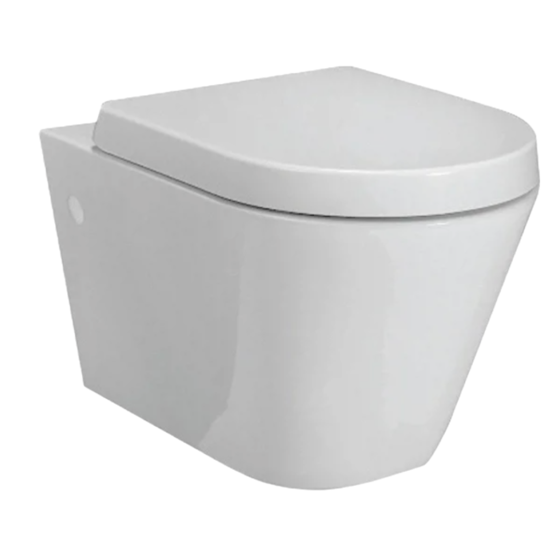 RAK Wall Hung Toilet