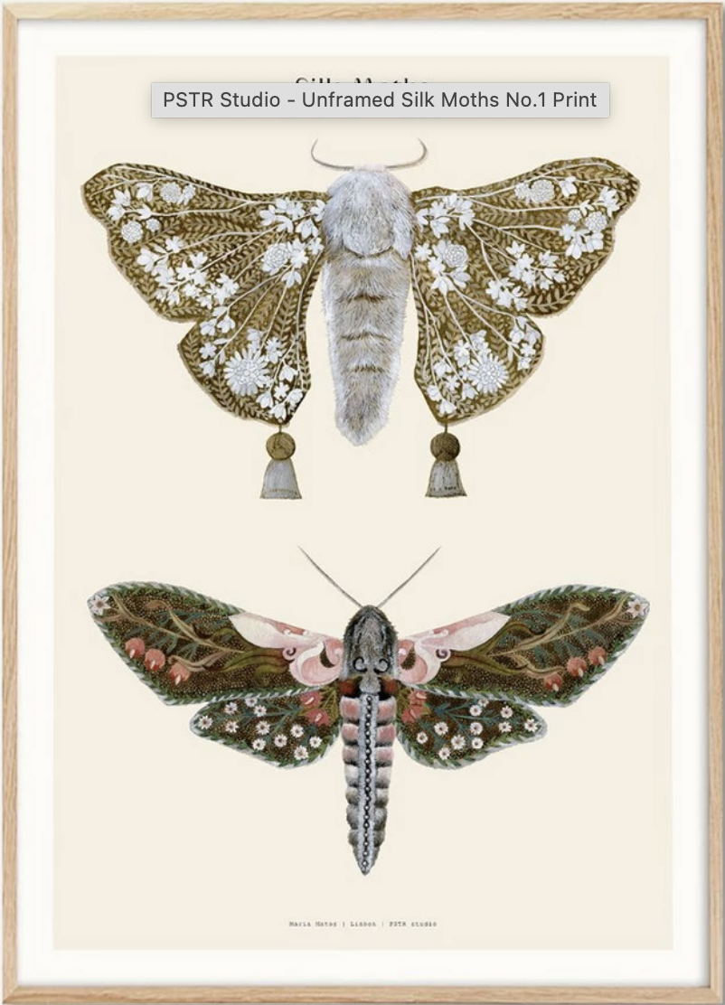 Unframed Silk Moths No.1 Print